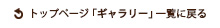 「ギャラリー」一覧に戻る
